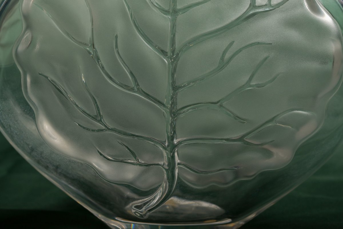 Vase en verre à décor de feuilles Lalique France-photo-3