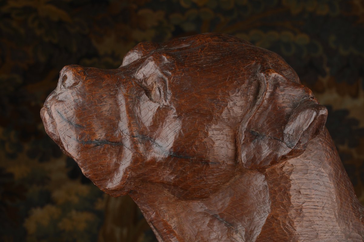 Carved Oak Mastiff Head-photo-2