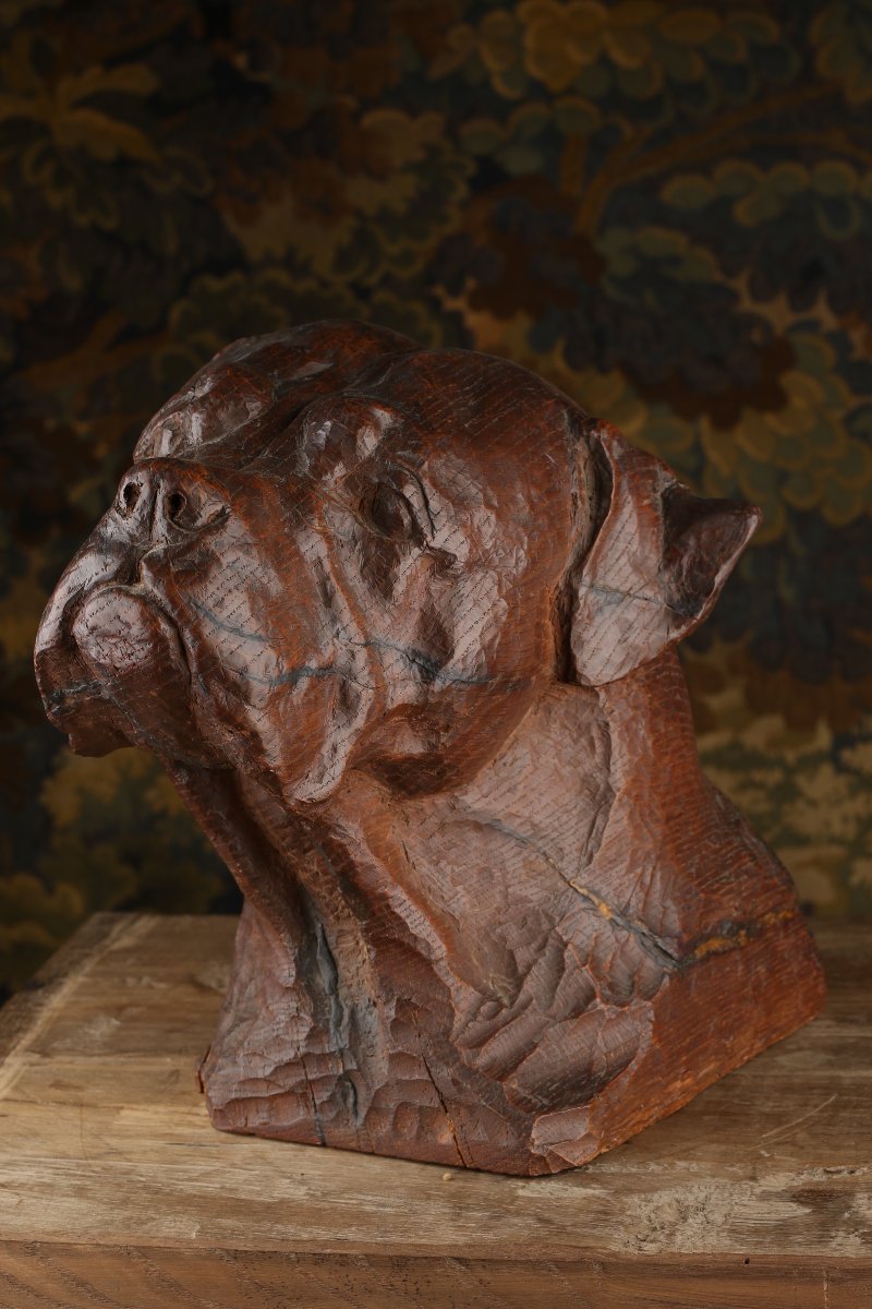 Carved Oak Mastiff Head-photo-1