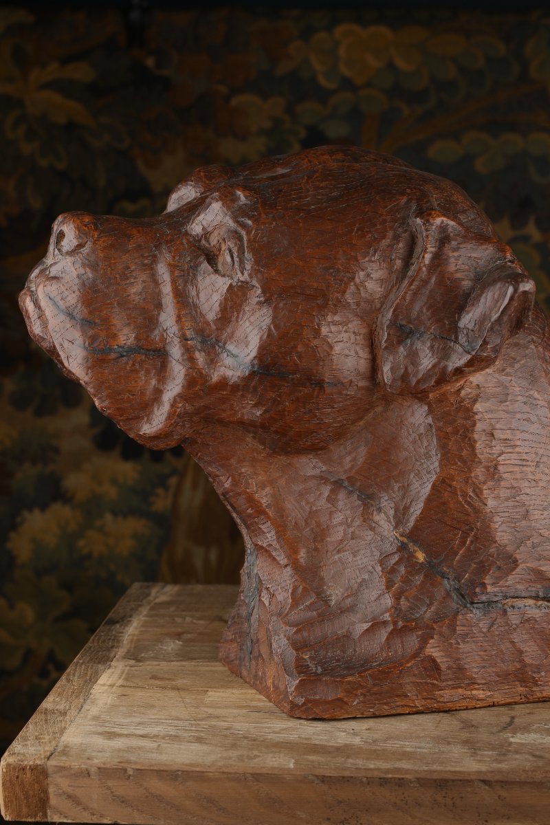 Carved Oak Mastiff Head-photo-2