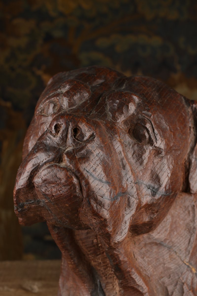 Carved Oak Mastiff Head-photo-3