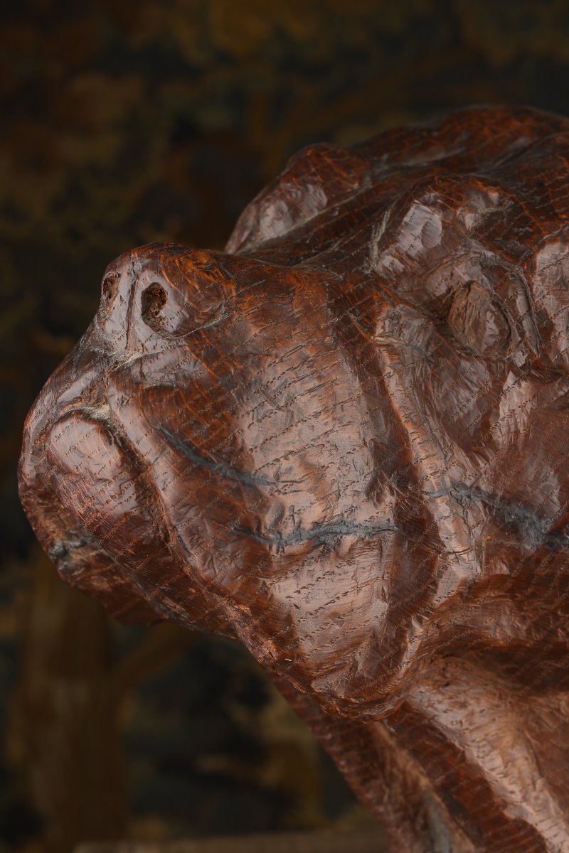 Carved Oak Mastiff Head-photo-5