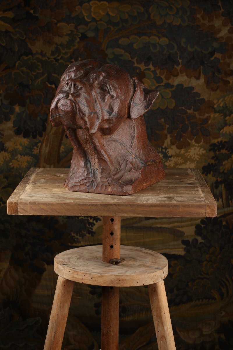 Carved Oak Mastiff Head