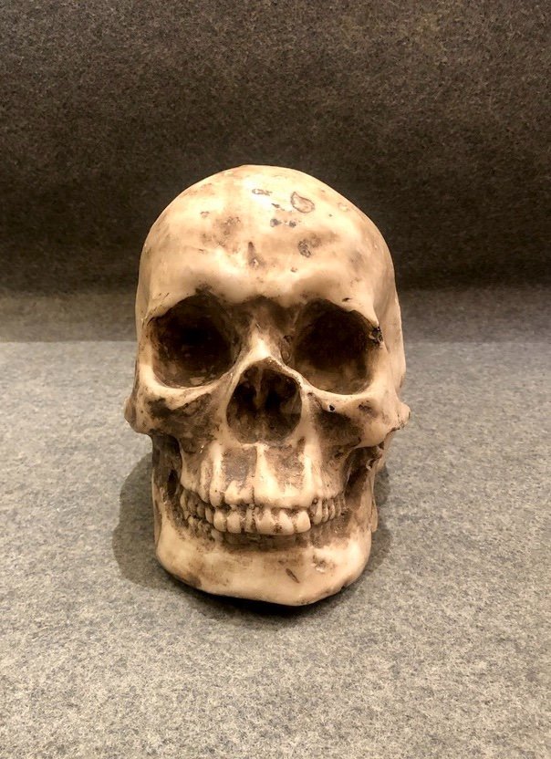 Sculpture Of A Marble Skull, 20th Century-photo-3