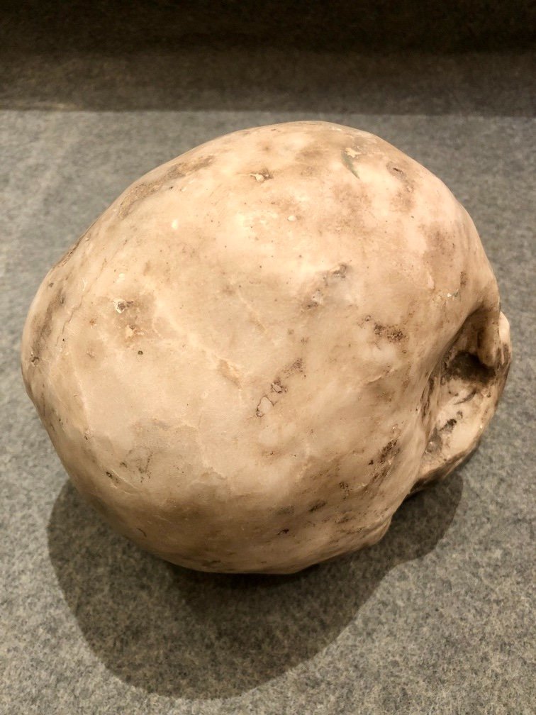 Sculpture Of A Marble Skull, 20th Century-photo-2