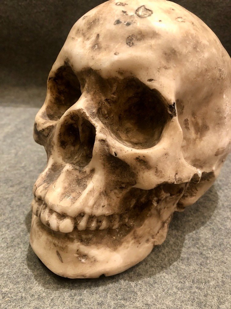 Sculpture D’un Crâne En Marbre, XXe Siècle -photo-6