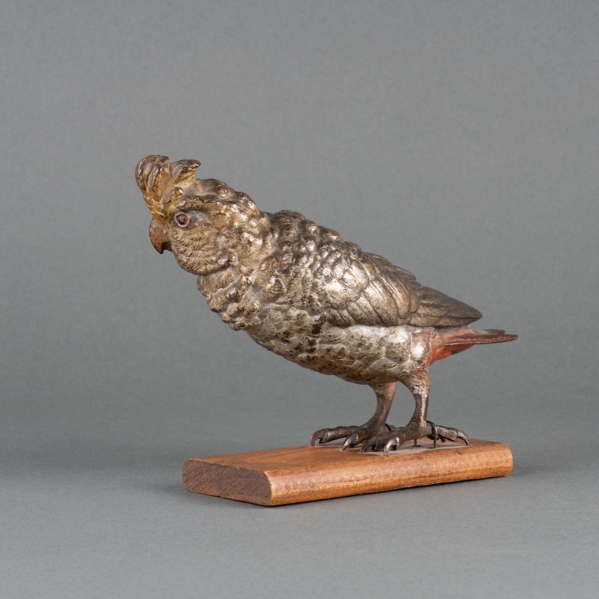 Vienna Bronze Callopsite Parakeet, 19th Century  -photo-3