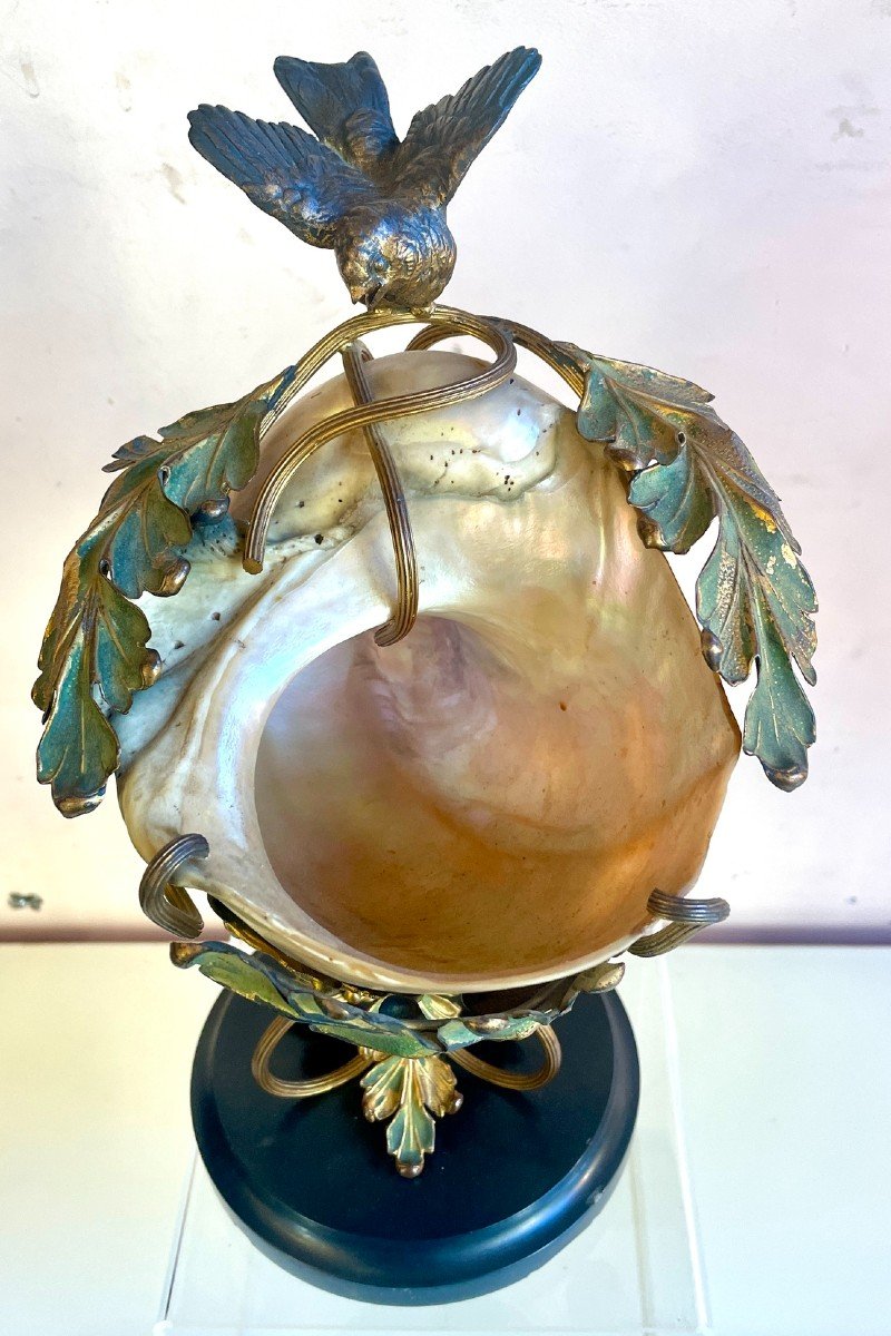 Art Nouveau Mounted Shell, 19th Century-photo-6