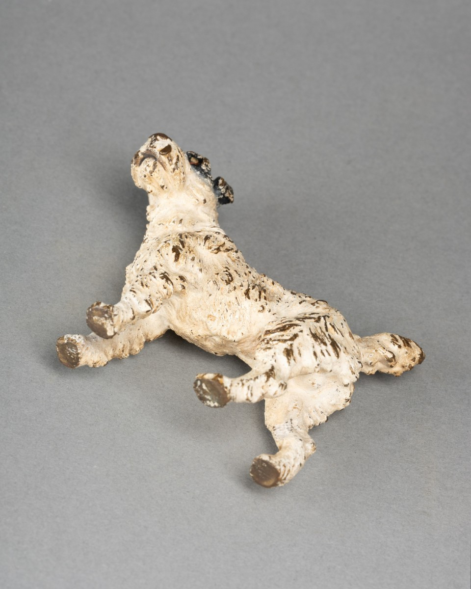 Fox Terrier, Polychrome Vienna Bronze, 19th Century-photo-4