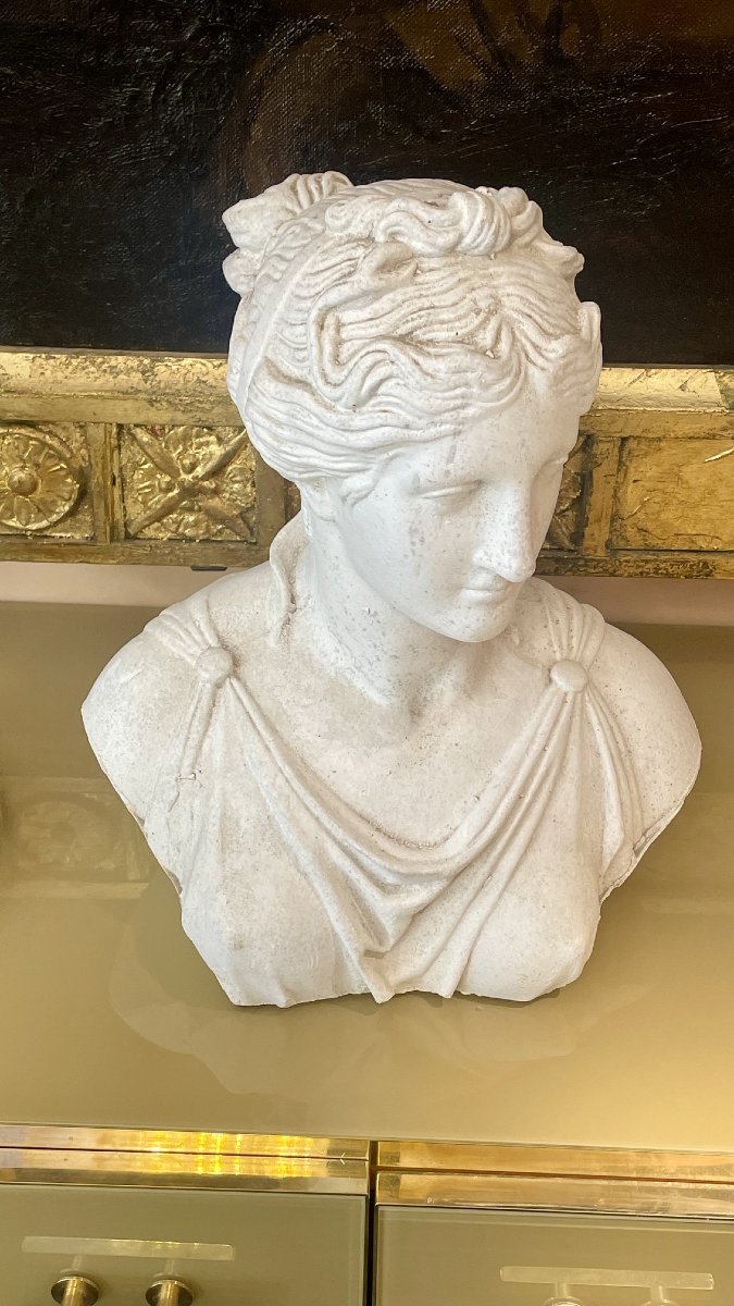 Plaster Bust, Antique Style, Late 19th Century-photo-1