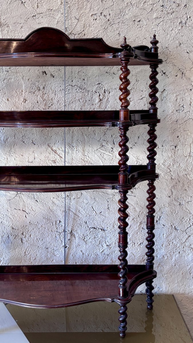 Napoleon III Rosewood Shelf Unit, 19th Century-photo-4