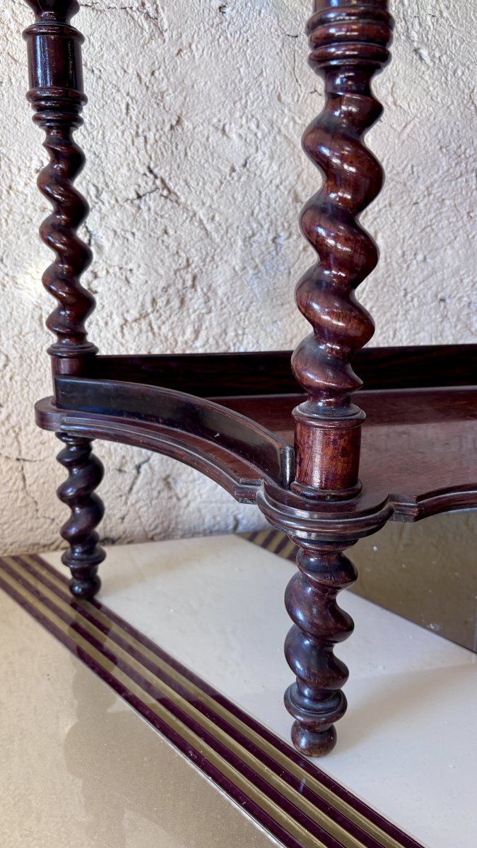 Napoleon III Rosewood Shelf Unit, 19th Century-photo-6