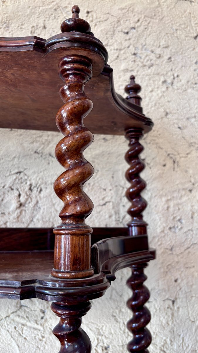 Napoleon III Rosewood Shelf Unit, 19th Century-photo-7