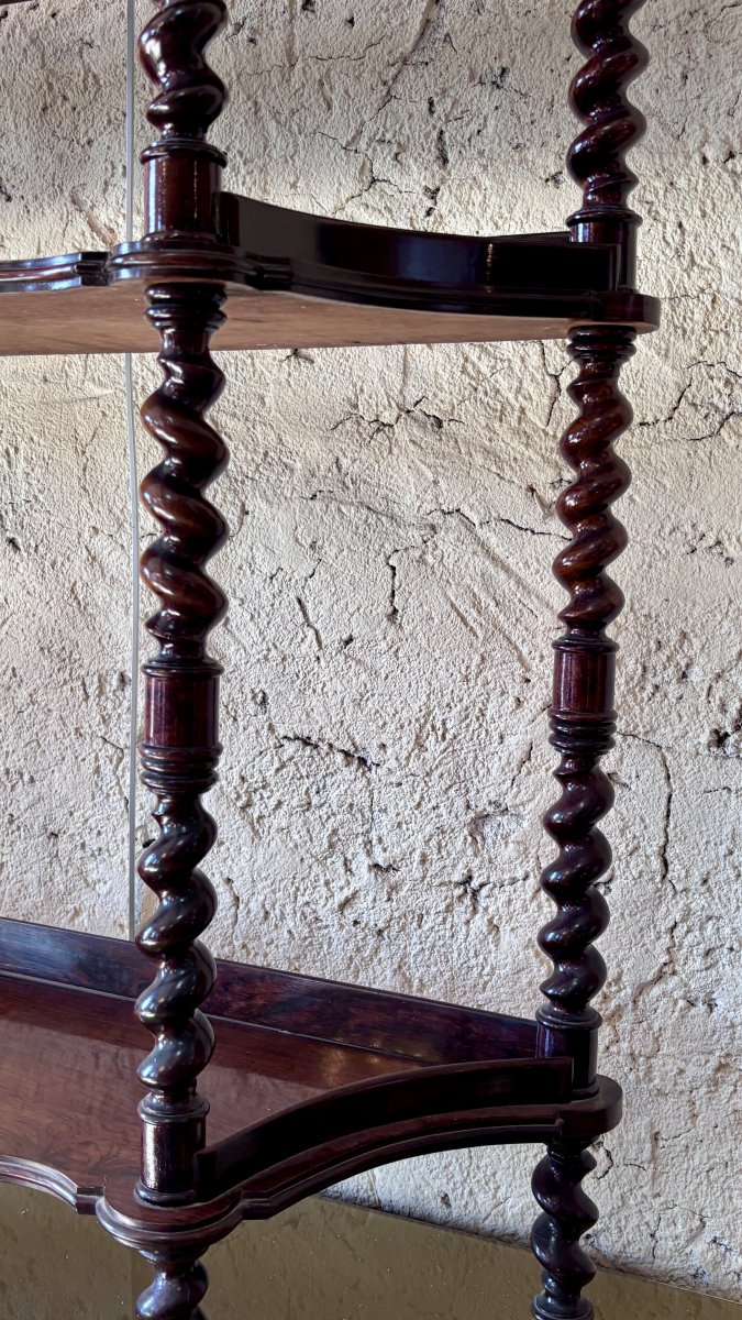 Napoleon III Rosewood Shelf Unit, 19th Century-photo-8