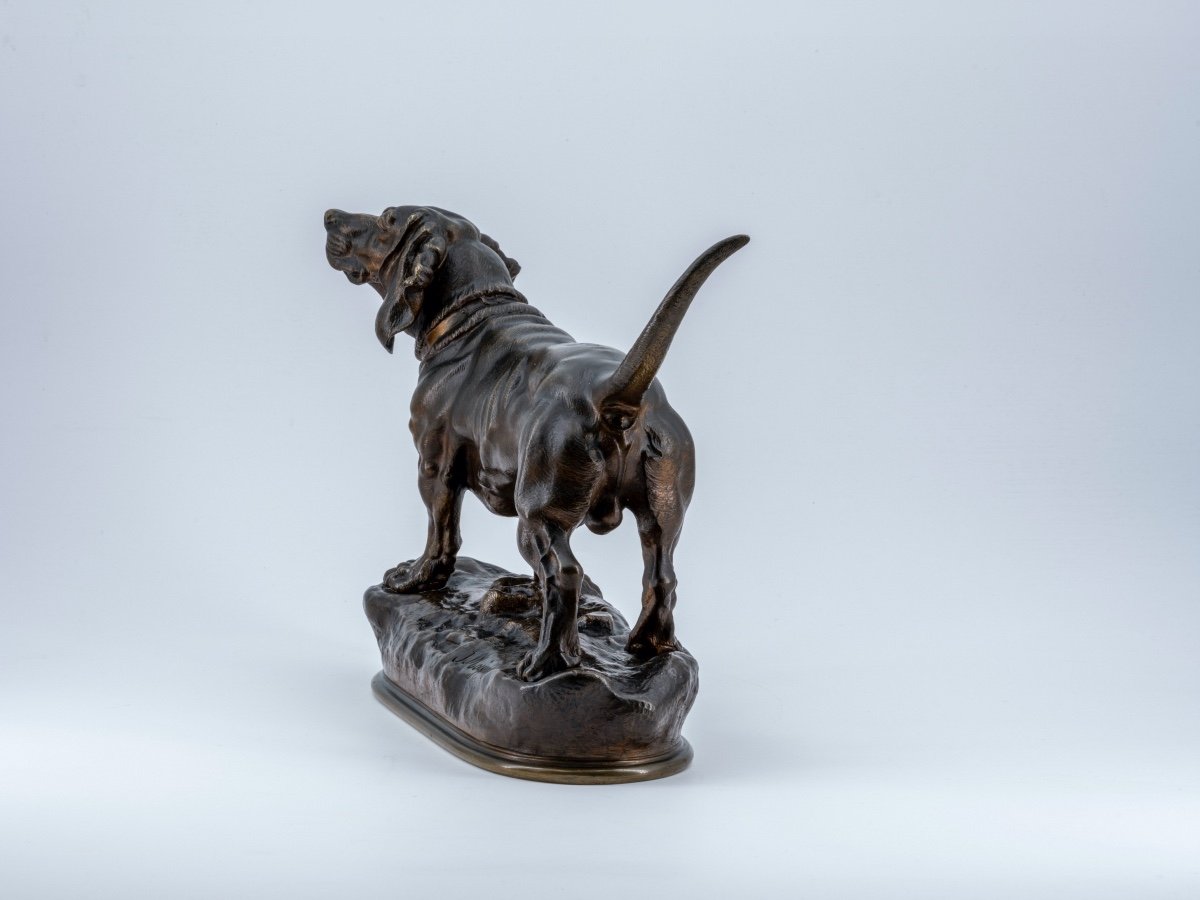 Basset, Bronze Sculpture With Brown Patina Signed Jules Moigniez (1835 - 1894)-photo-2