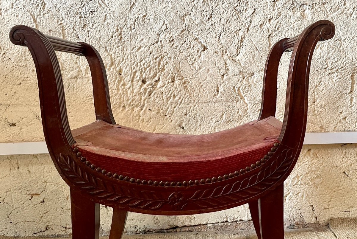 Empire Style Curule Seat, 19th Century-photo-1