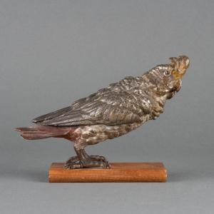 Vienna Bronze Callopsite Parakeet, 19th Century  