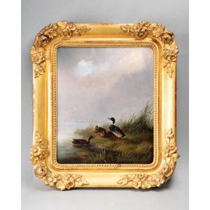 Huile sur carton figurant un colvert et des canes, XIXe siècle