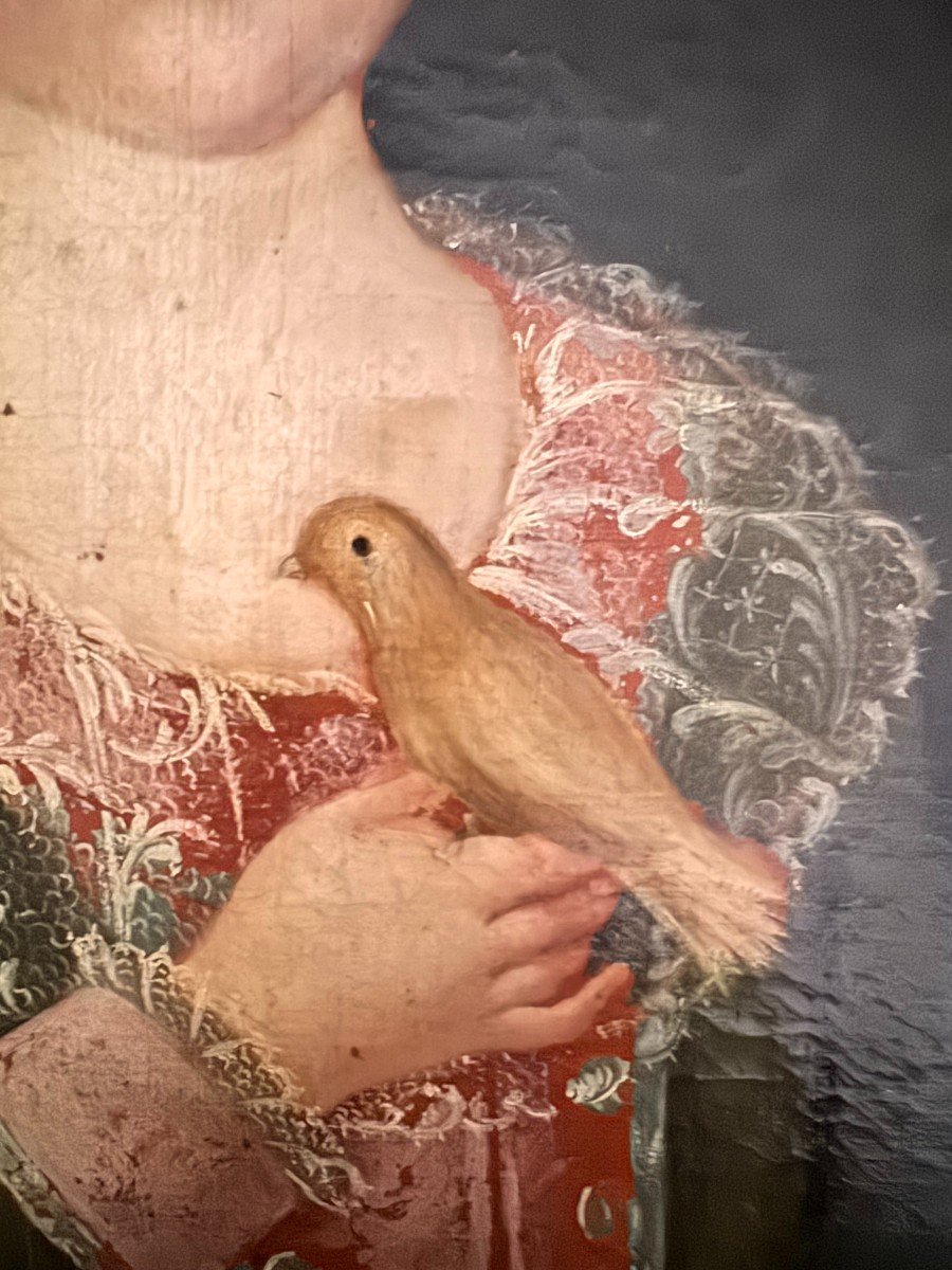 Portrait De Jeune Fille à l'Oiseau -photo-2
