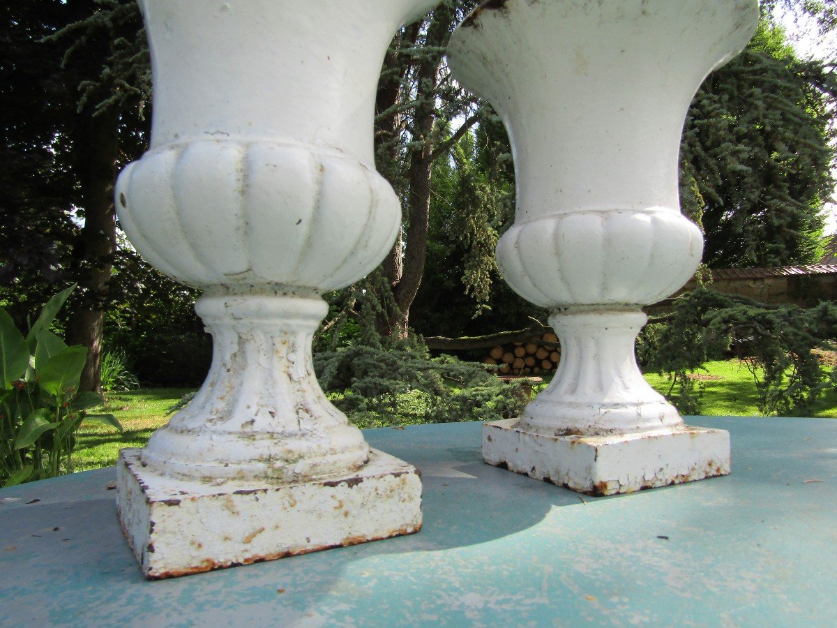 Vases Médicis-photo-2