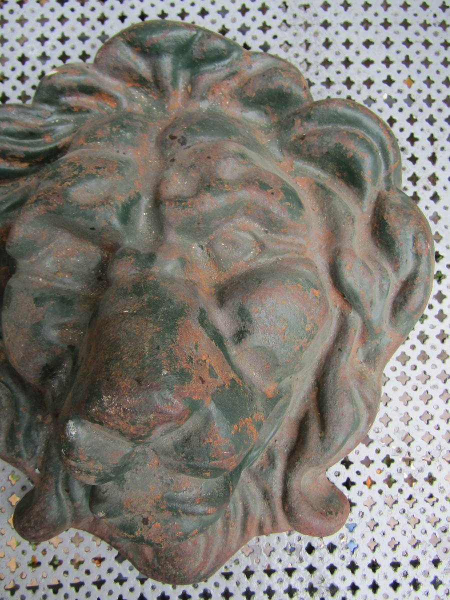 Tête de lion-photo-2