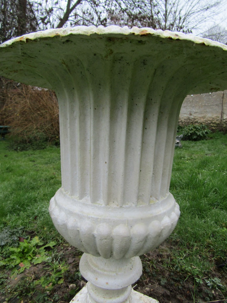 Vase médicis-photo-4