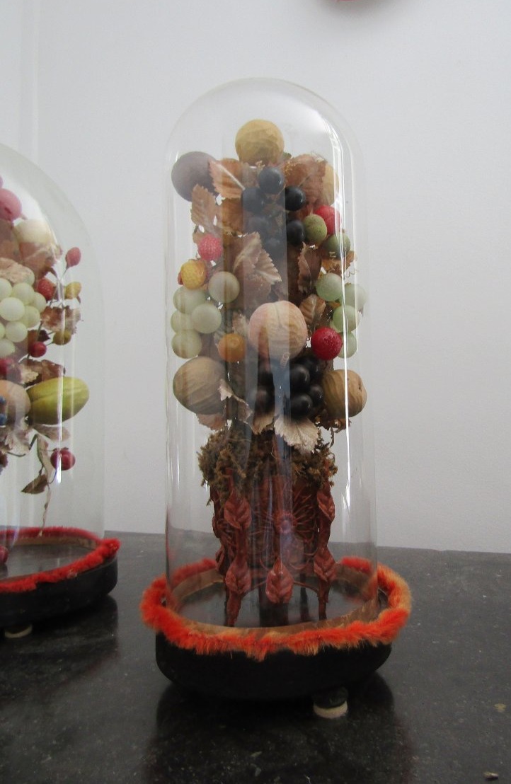 Garnitures de fruits sous globe-photo-4