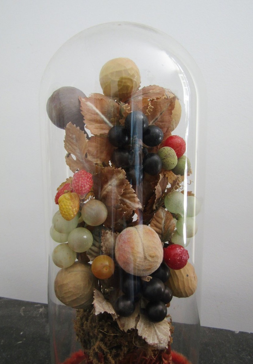 Garnitures de fruits sous globe-photo-1