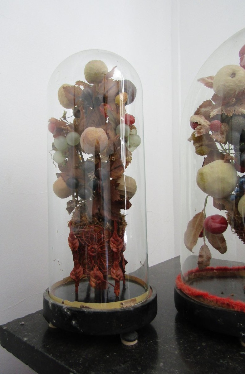 Garnitures de fruits sous globe-photo-2