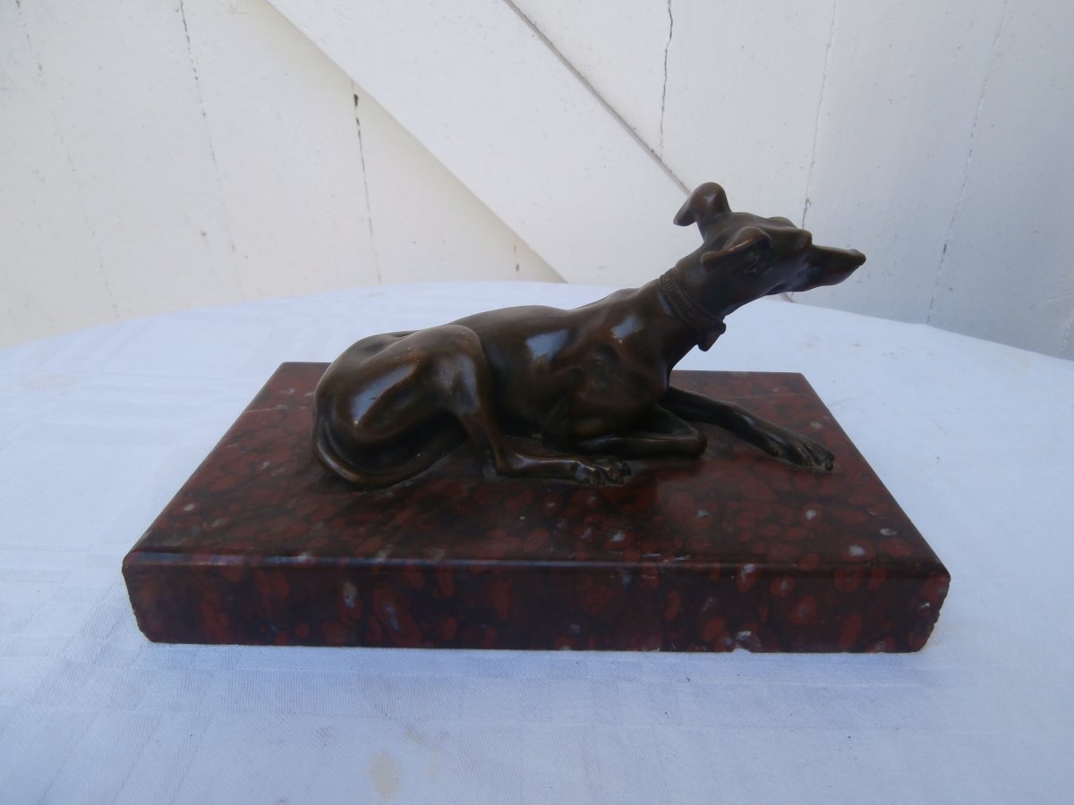 Greyhound In Bronze-photo-3