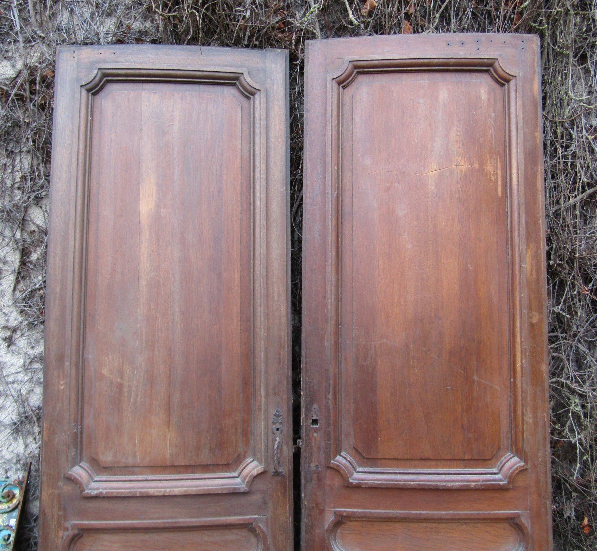 Pair Of Doors-photo-3