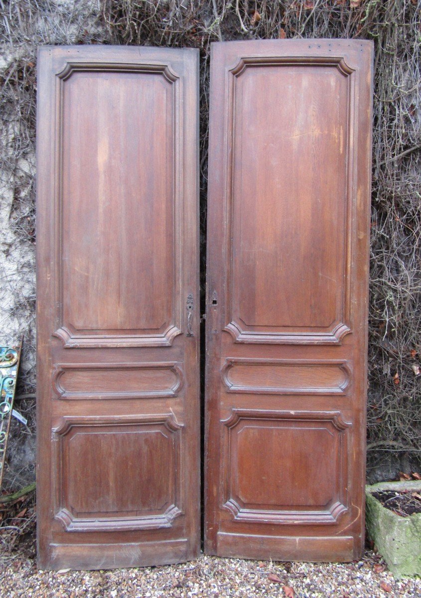 Pair Of Doors