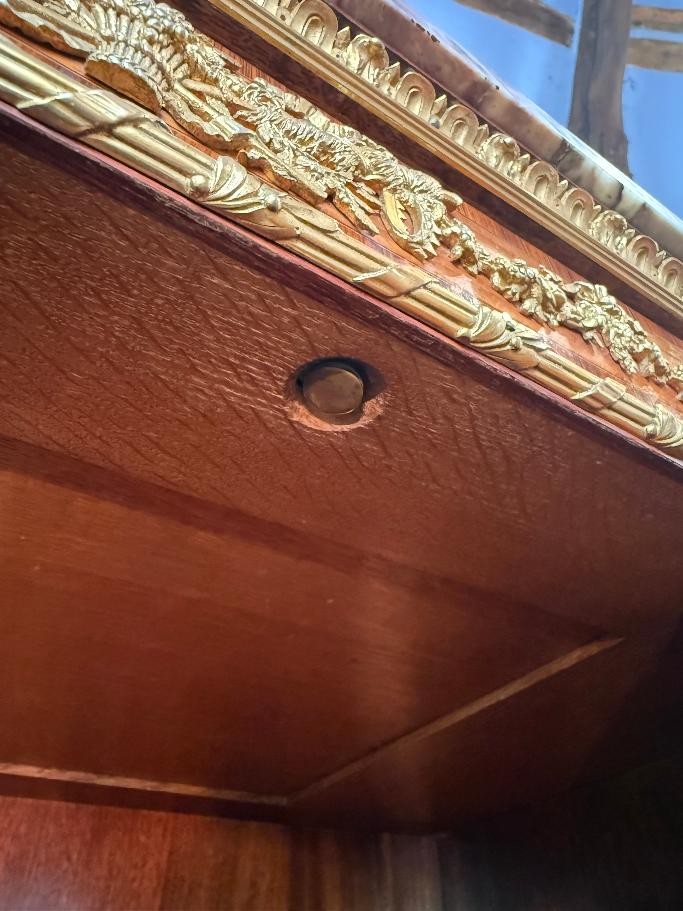 Louis XVI Low Cabinet – Signed François Linke (1855 – 1946)-photo-3