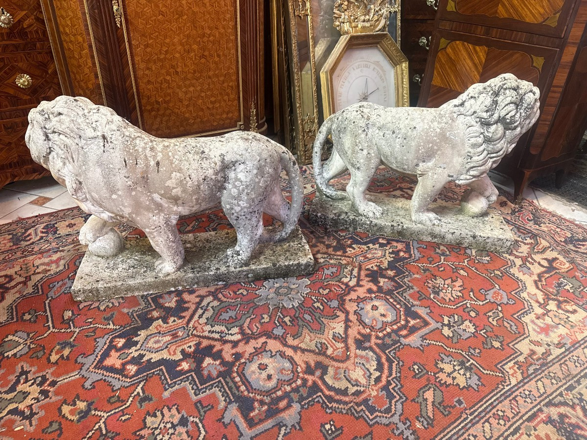 Pair Of Lions Made Of Reconstituted Stone-photo-1