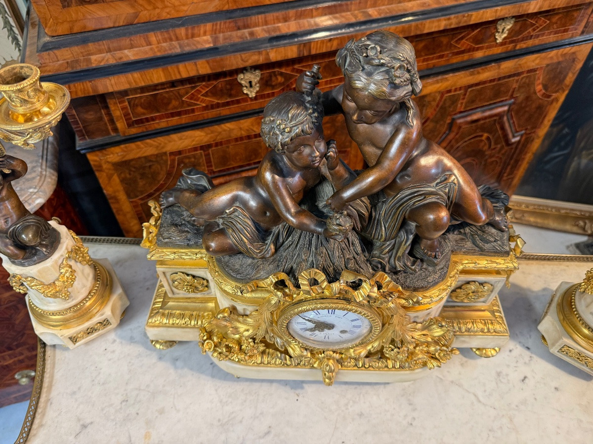  Napoleon III Fireplace Insert Raingo Fres-photo-7
