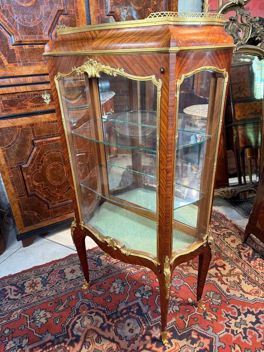 VITRINE LOUIS XV PAUL SORMANI (FRANÇAIS, 1817-1887) -photo-2