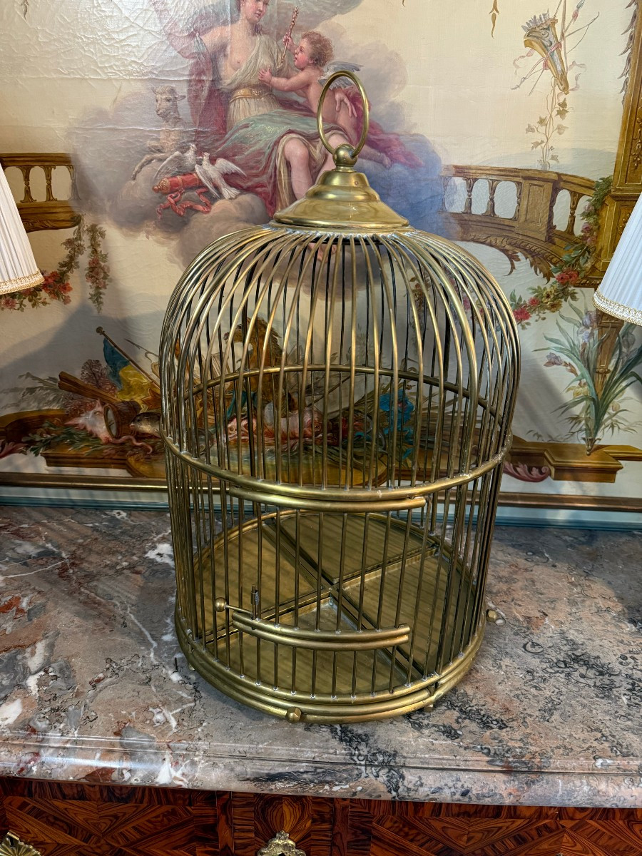 CAGE A OISEAUX SUPENDUE SUR PIED EN LAITON-photo-5