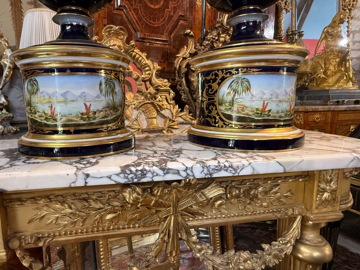 PAIRE DE POTS A PHARMACIE OU VASES A COUVERCLE NAPOLEON III-photo-3