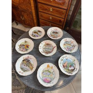 Series Of Eight Porcelain Fish Plates From Maison Le Rosey