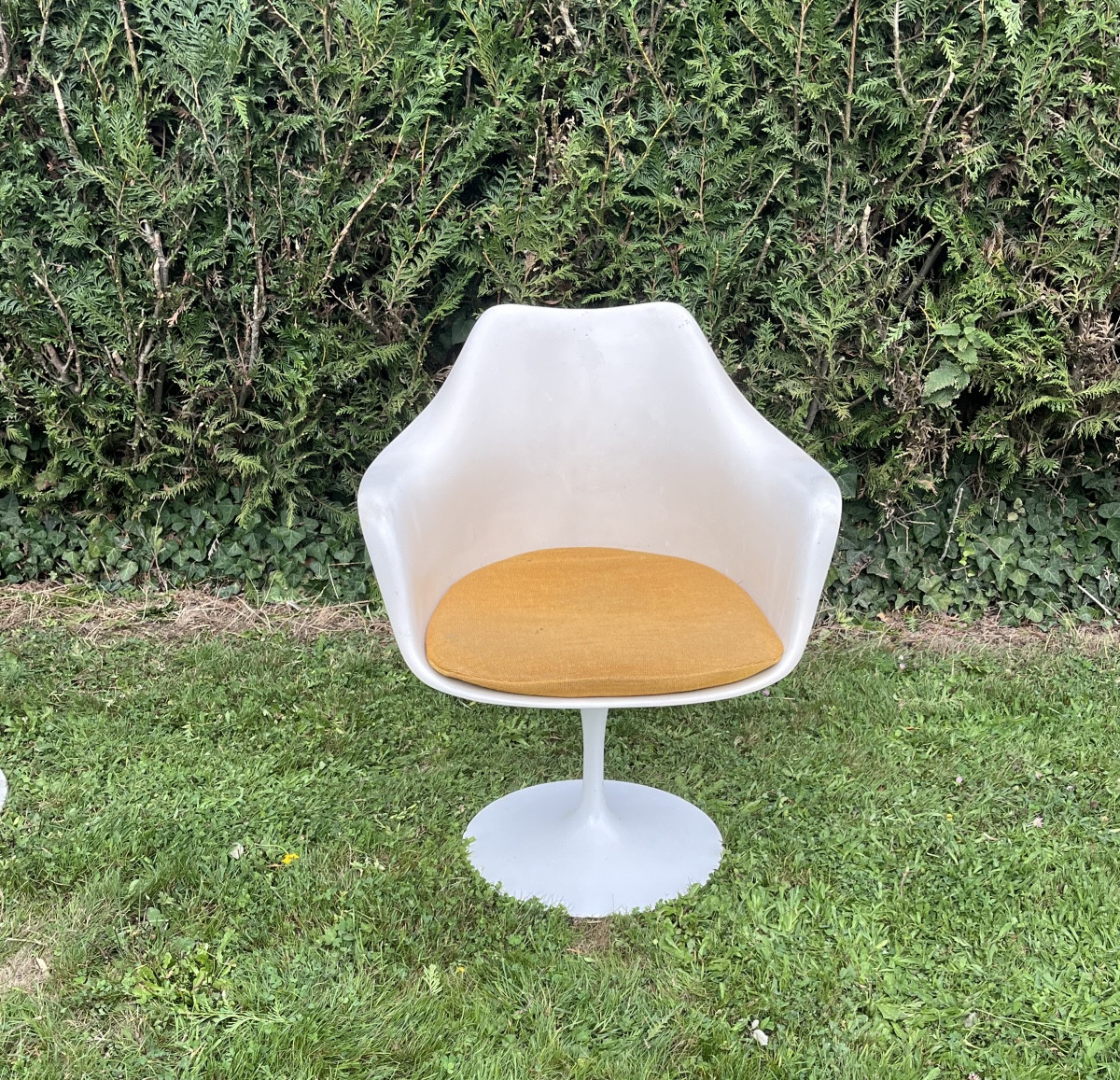 Fauteuil Knoll & Eero Saarinen 
