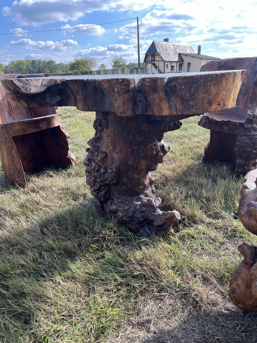 Salon brutaliste en orme -photo-2