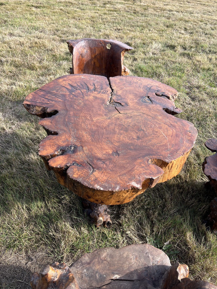 Salon brutaliste en orme -photo-1