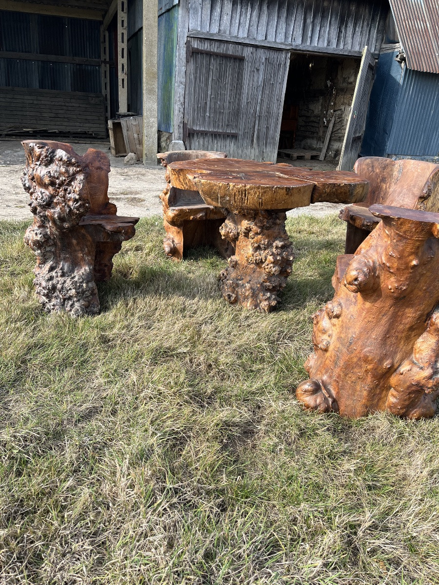 Salon brutaliste en orme -photo-2