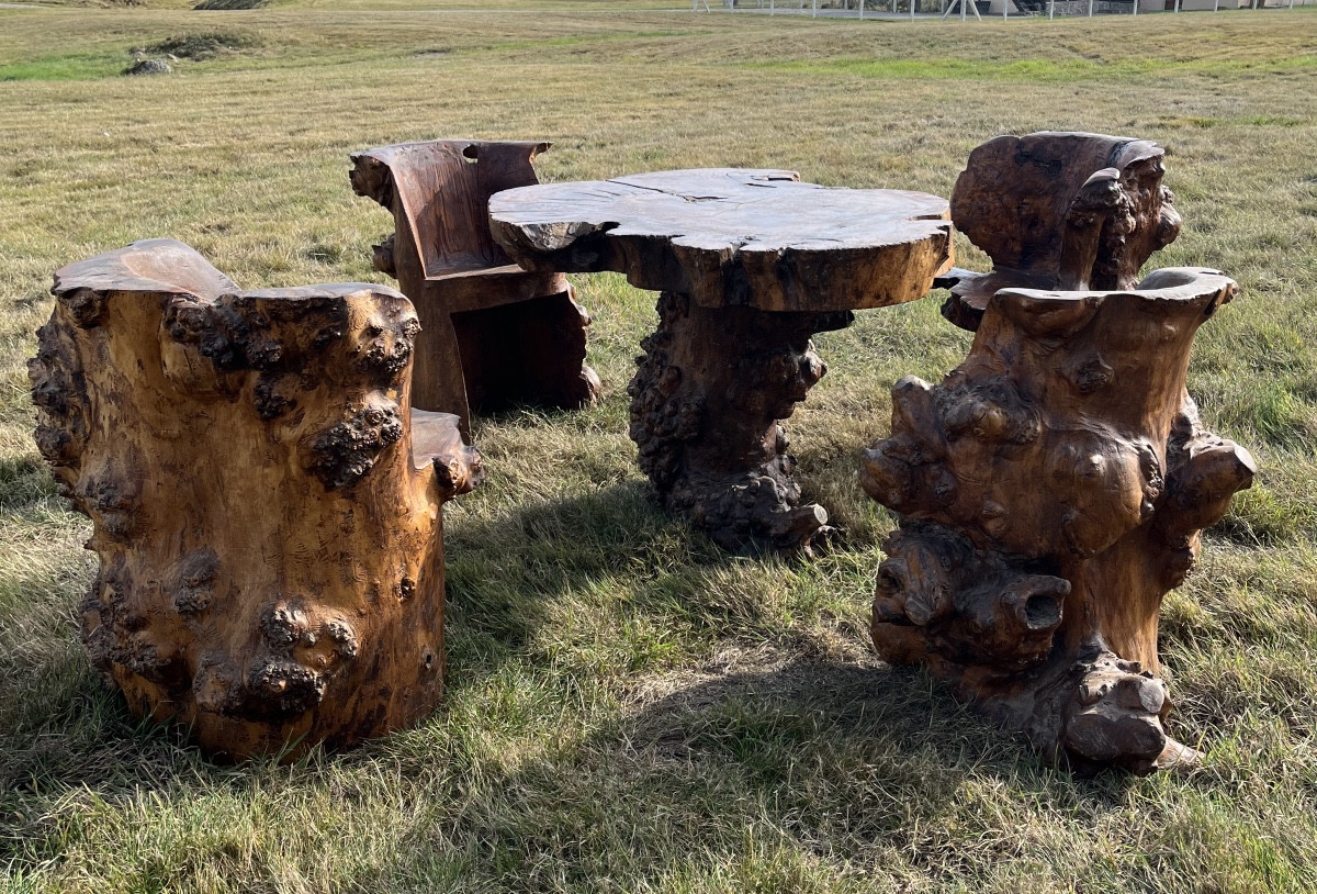 Salon brutaliste en orme 