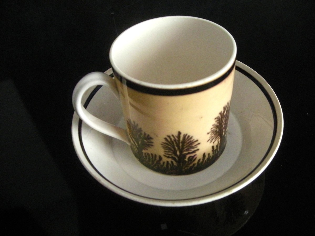 Herborisation Cup And Saucer By Manufacture De Creil-photo-3