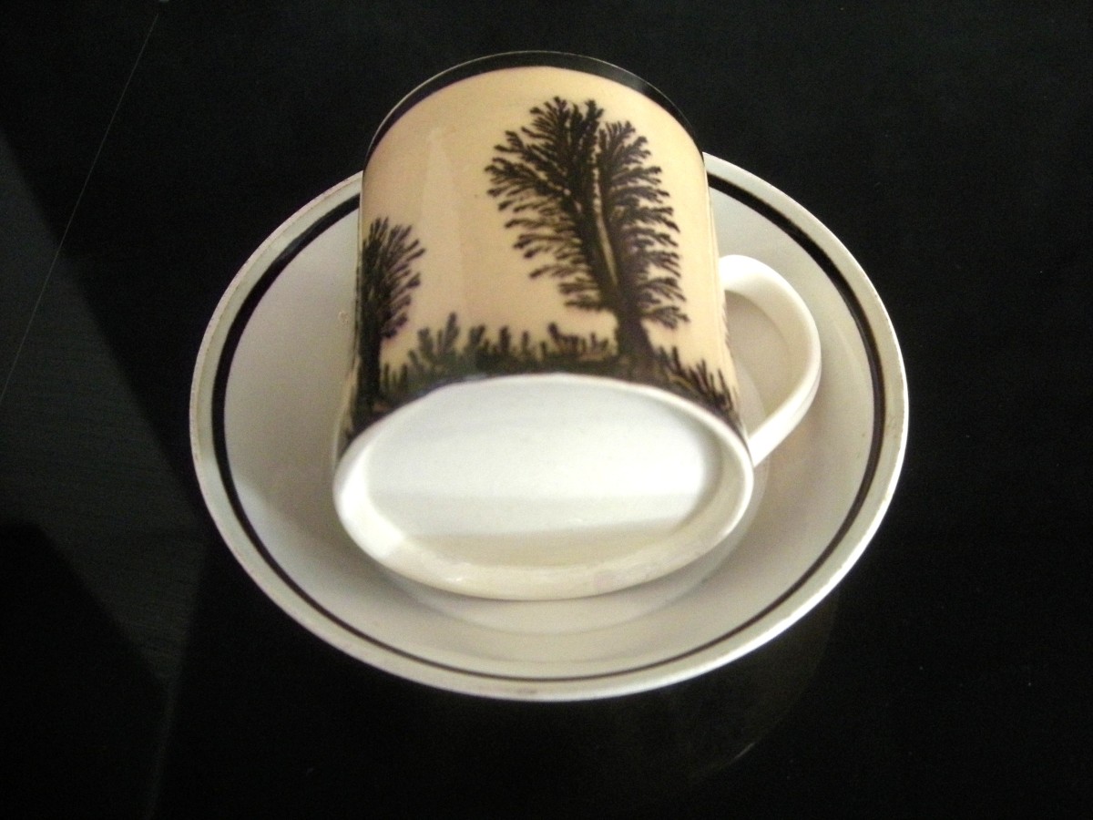 Herborisation Cup And Saucer By Manufacture De Creil-photo-5