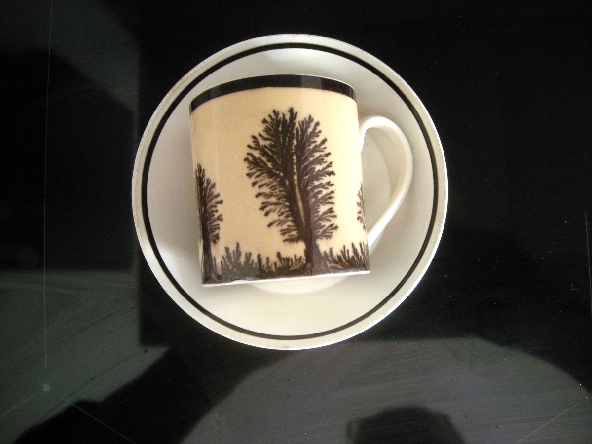Herborisation Cup And Saucer By Manufacture De Creil-photo-6