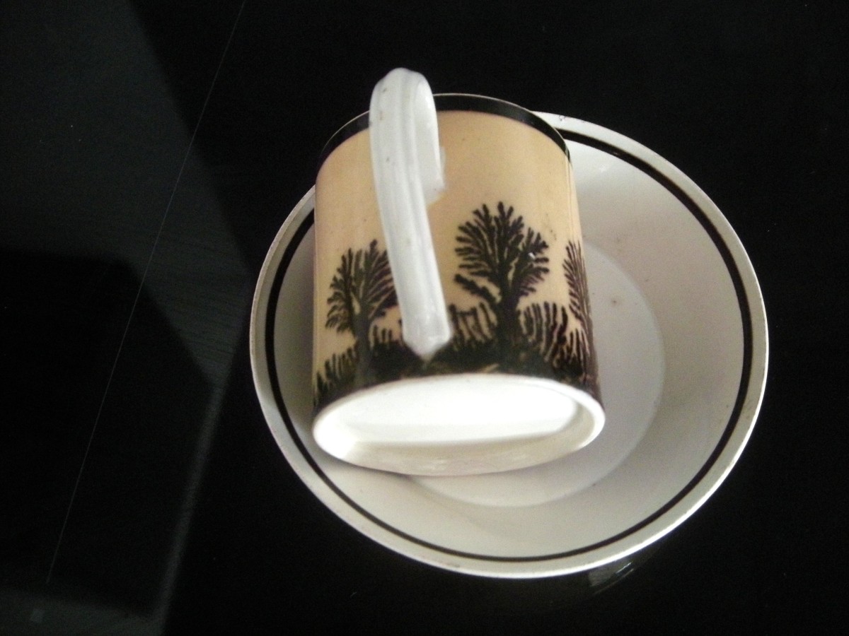 Herborisation Cup And Saucer By Manufacture De Creil-photo-7
