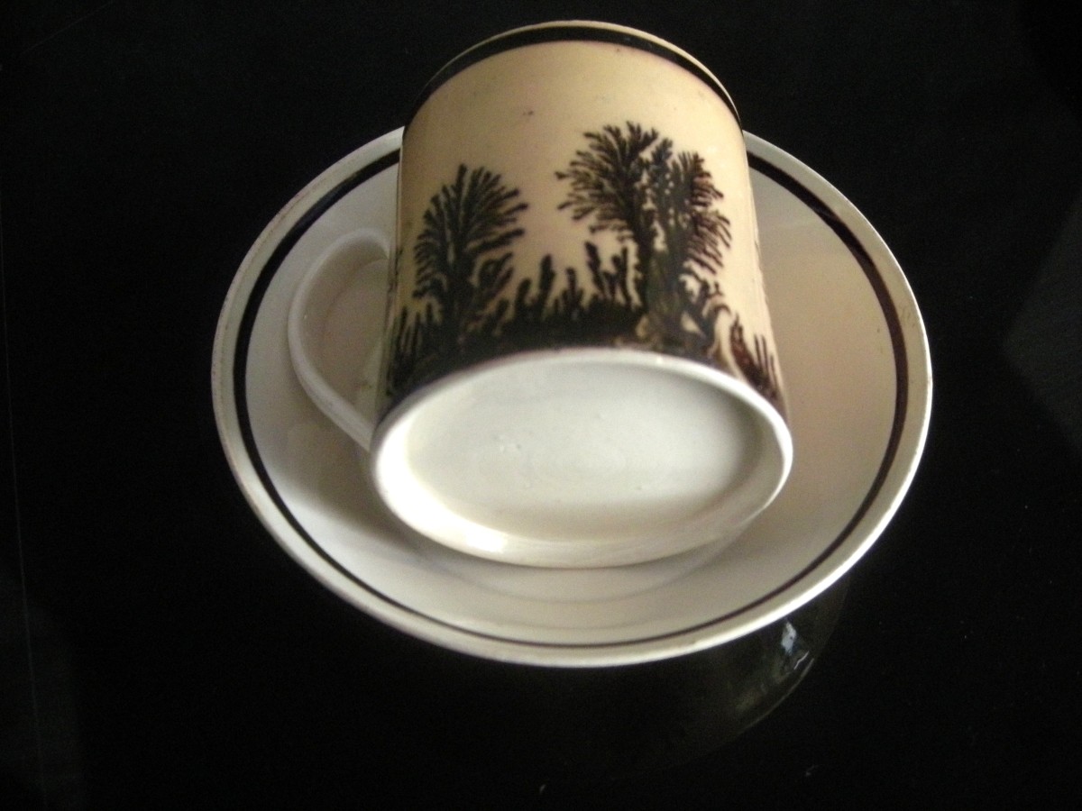 Herborisation Cup And Saucer By Manufacture De Creil-photo-8