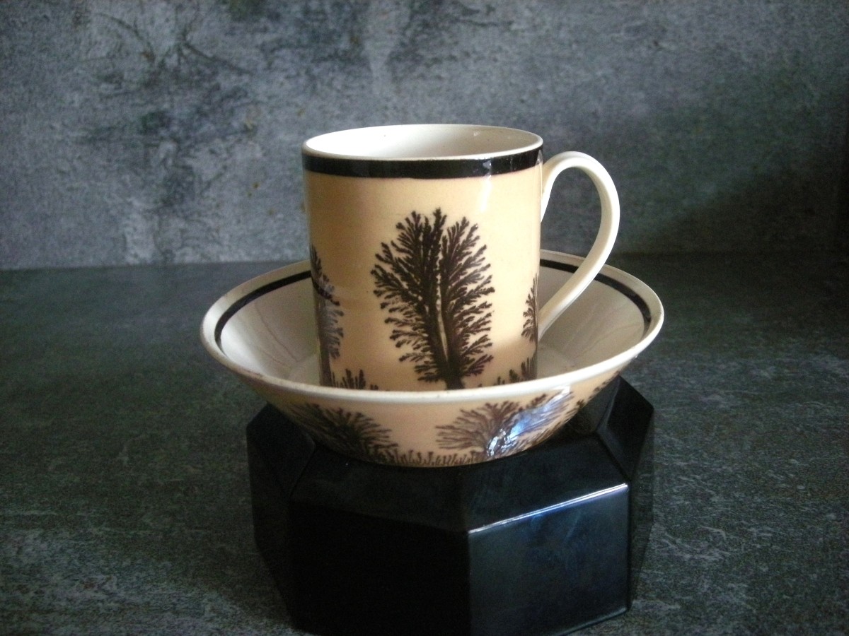 Herborisation Cup And Saucer By Manufacture De Creil